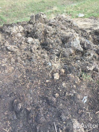 Навоз коровий перегной