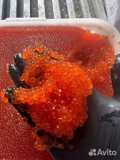 Красная икра оптом 2023г