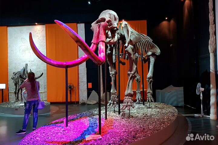 Тур-Такси. Пермский краеведческий музей /лф