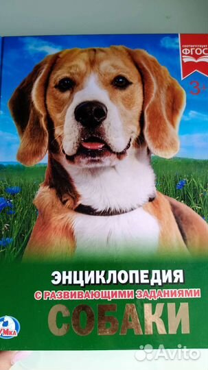 Энциклопедия с развивающ.заданиями 5 шт новые