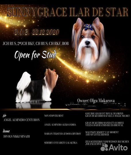 Бивер вязка