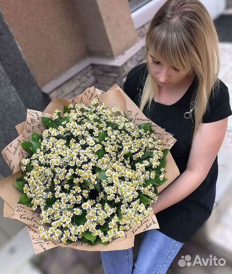 Цветы ромашки. Букеты ромашек. Цветы доставка