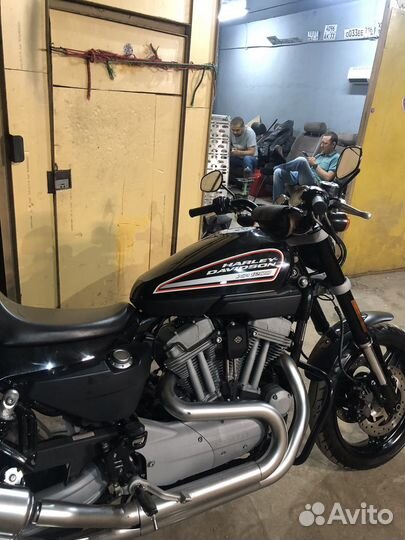 Harley davidson xr1200 в разбор
