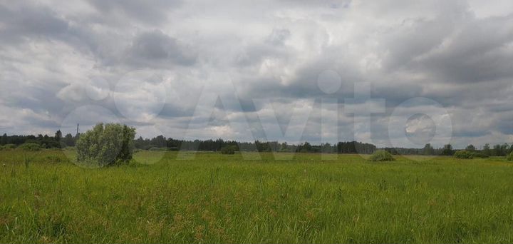 Участок 29,02 га (СНТ, ДНП)