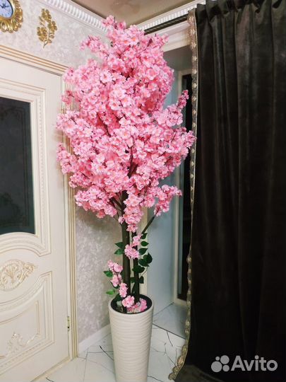 Цветы и деревья