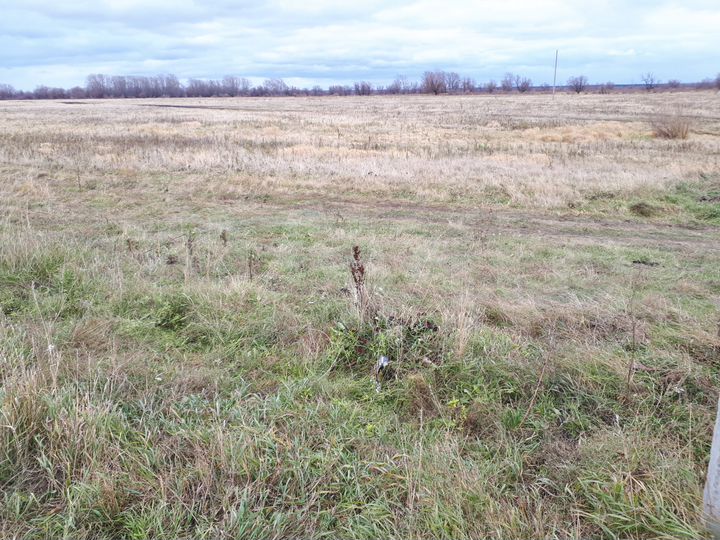 Участок 15 сот. (ИЖС)