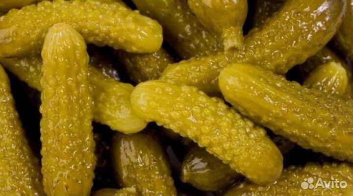 Огурцы соленые