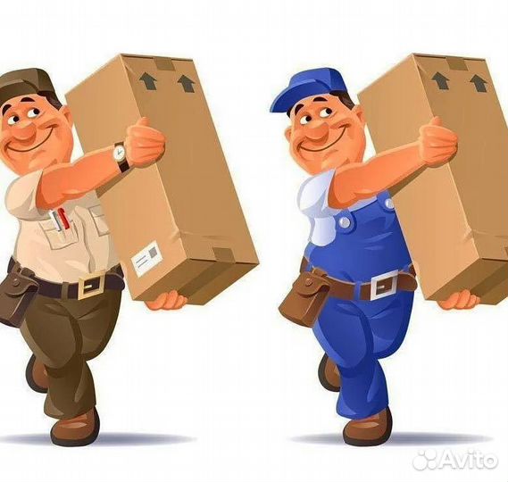 Грузчики оплата ежедневная