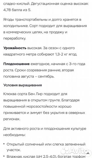 Саженцы клюквы