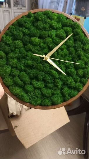 Часы из стабилизированного мха