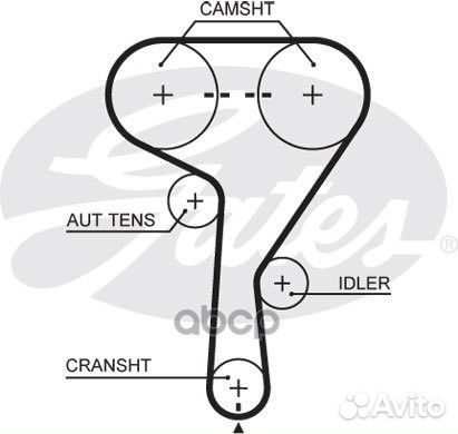 Ремень грм aveo 1.4-1.6 dohc 09/cruze 1.6 (116