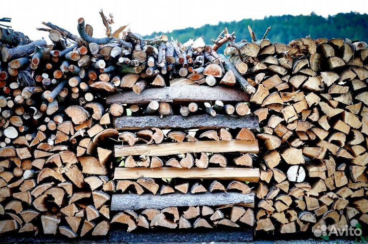 Дрова без гнили