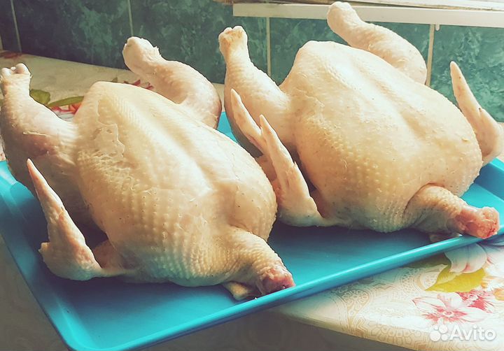 Домашняя свинина, курица