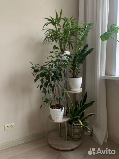 Стойка доя цветов