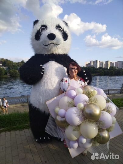 Поздравление Белый Мишка, Панда, Чебурашка, Тедди