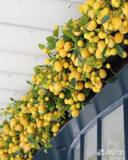 Оформление и декор входной группы