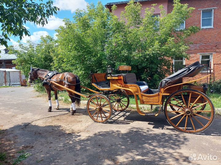 Прогулка в карете