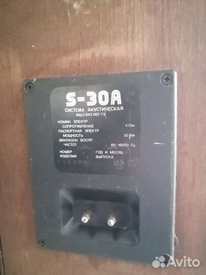 Акустические колонки Радиотехника S-30A