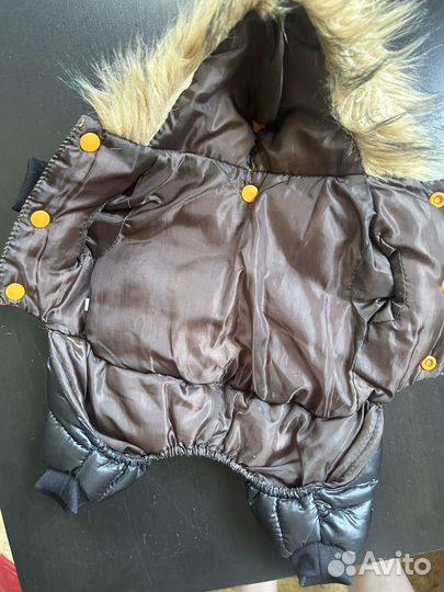 Комбинезон для маленькой собаки