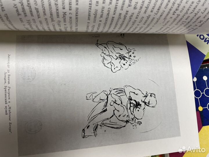 Мадонна Бенуа Леонардо Да Винчи. Кустодиева