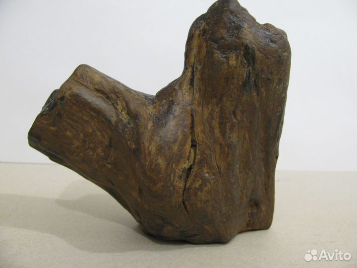 Окаменелое дерево (в коллекцию)