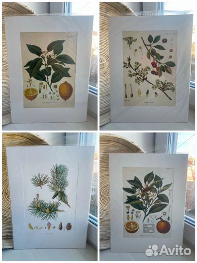 Постеры 30/40см новые