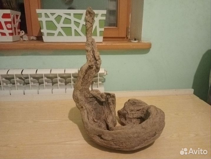 Коряга из горной реки