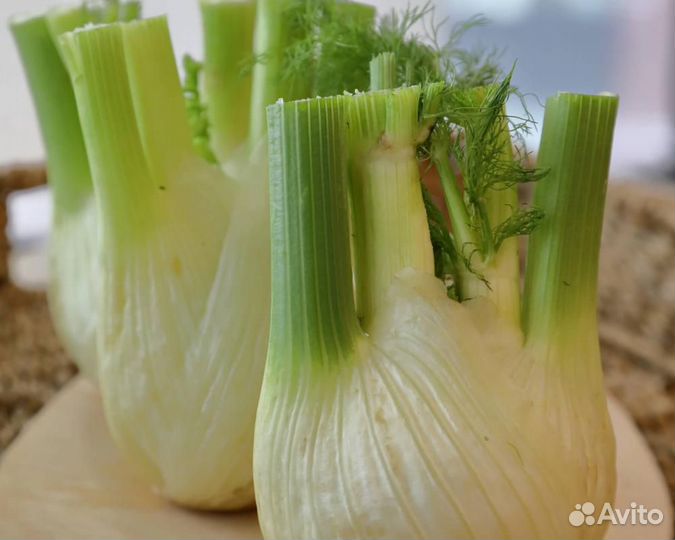 Семена Фенхеля 