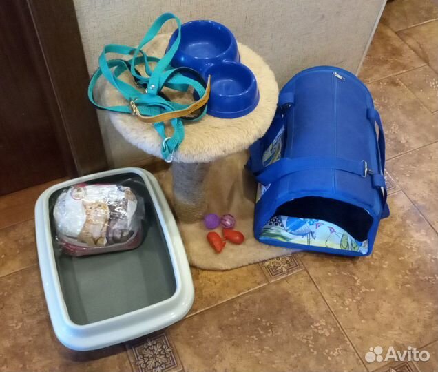 Набор для котенка