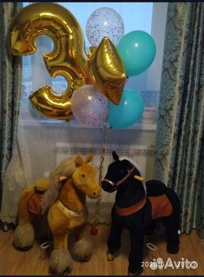 Поницикл средний 2 шт Ночка и Королевская