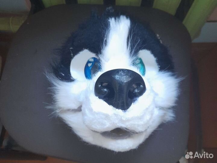 Фурсью собаки недоделка