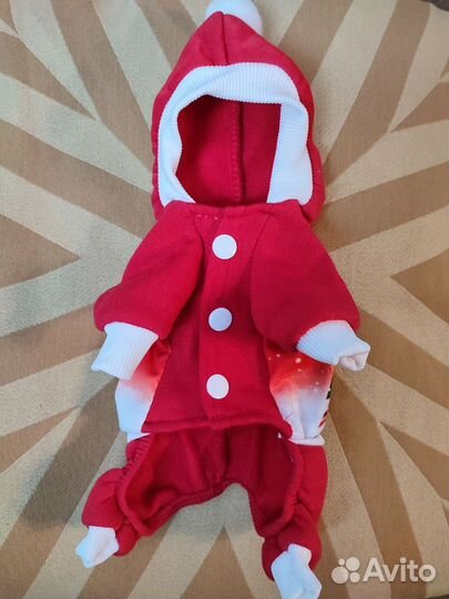 Одежда для маленьких собак