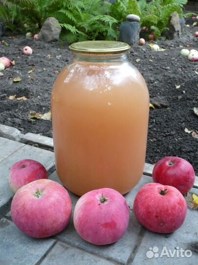 Сок яблочный домашний натуральный