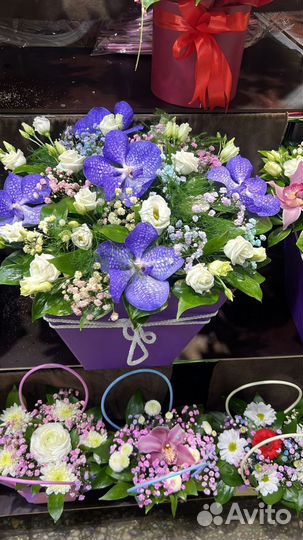 Букет фиолетовых орхидей подарок