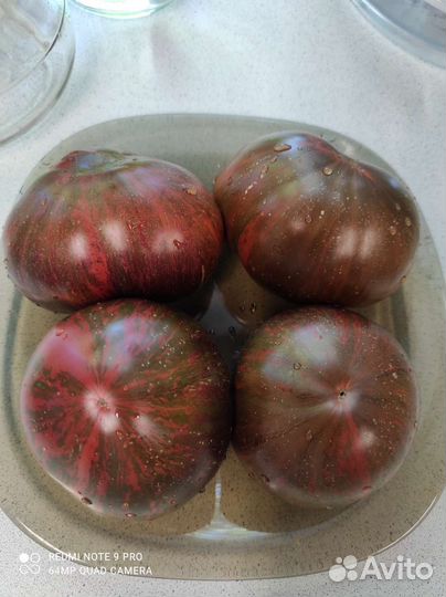 Семена коллекционных томатов