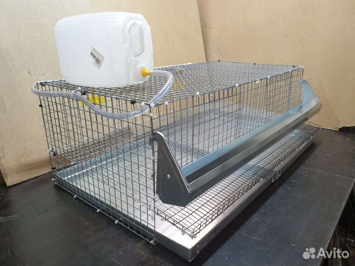 Клетки для перепелов