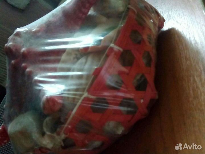 Морские ракушки и рыба-еж бесплатно