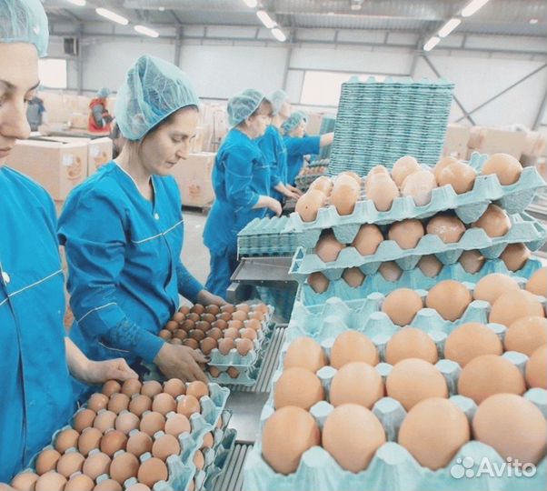 Упаковщик на Вахту в Петербурге Транспорт