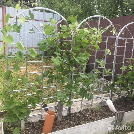 Арка пергола шпалера садовая