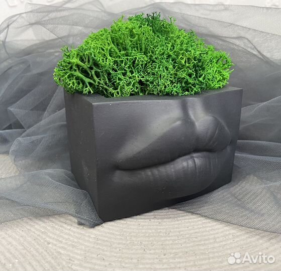 Ваза кашпо органайзер «губы Джоли»