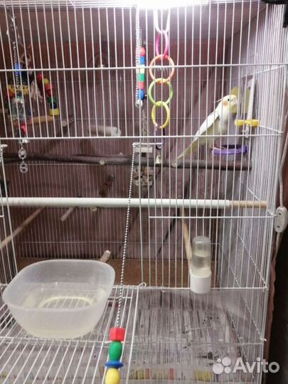 Продам клетку