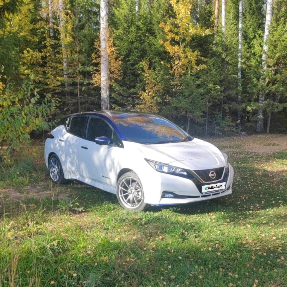 Nissan Leaf: фото владельца