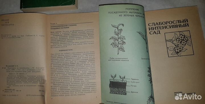 Советы садоводам. Азбука садовода