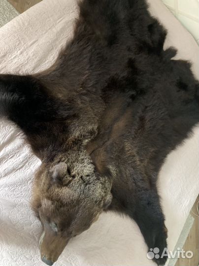 Шкура медведя (имитация)