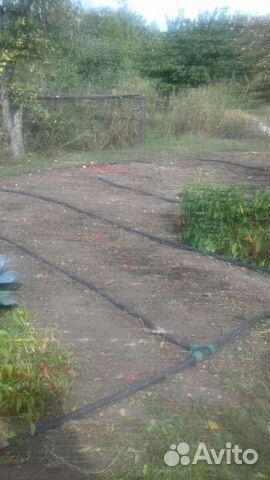 Полив для огорода