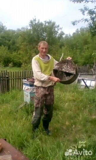 Продаю свежий мёд