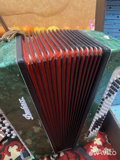 Баян Донбасс