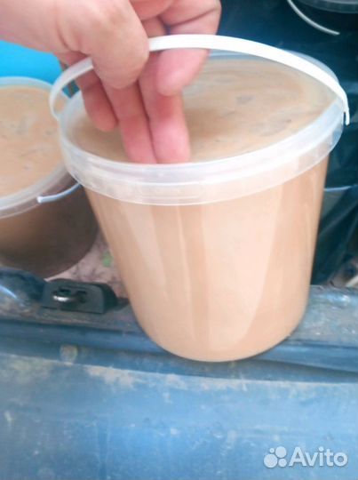 Мëд лесной с предгорья Алтая