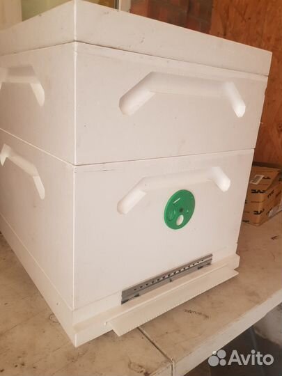 Сушь пчелиная