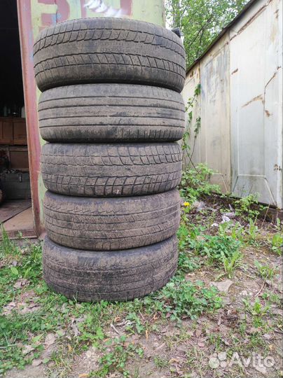 Accelera Alpha 4/5 R4 B